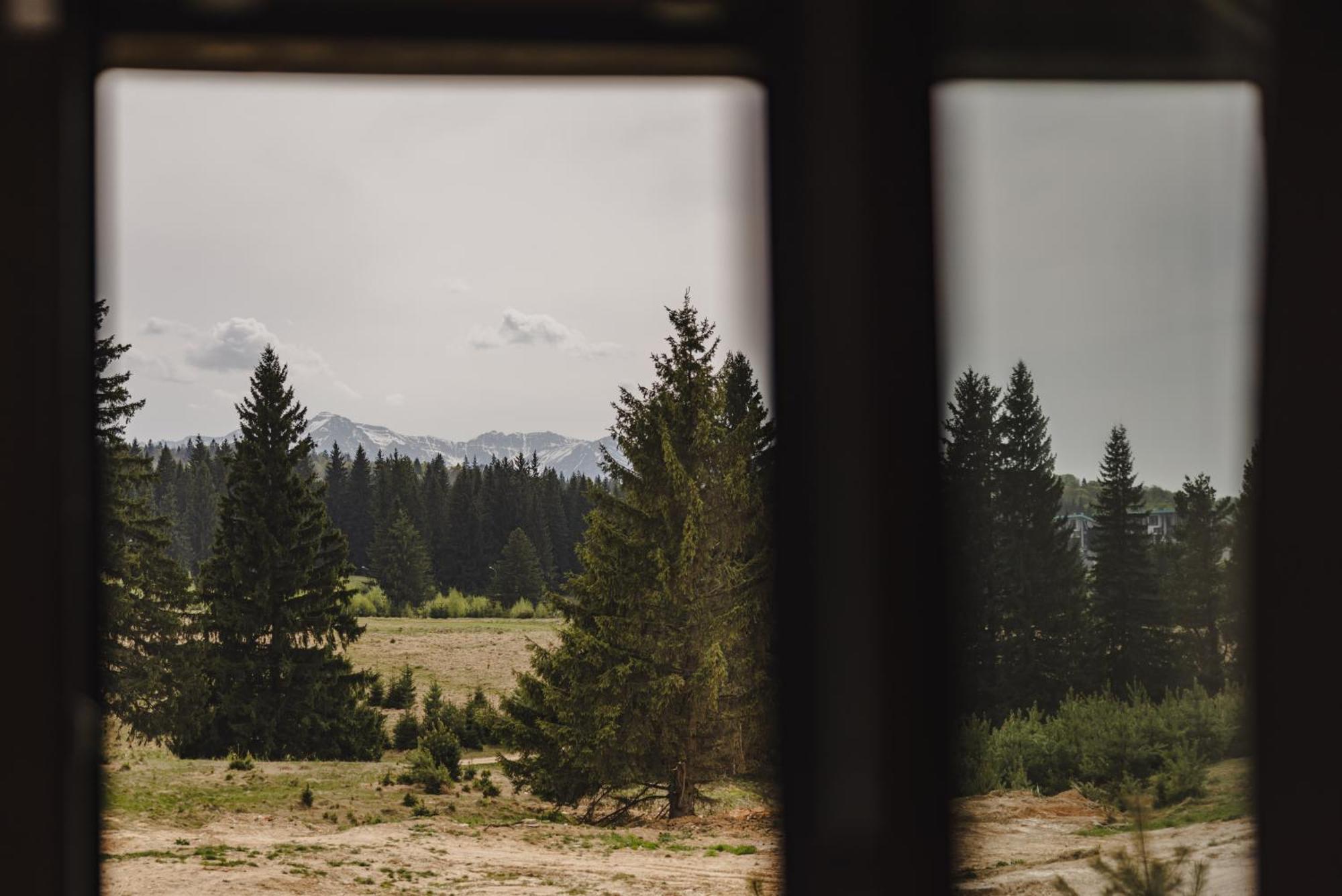 Albert Residence Aparthotel Grand Chalet With Free Spa Access To Alpin Resort Poiana Brașov Exterior foto
