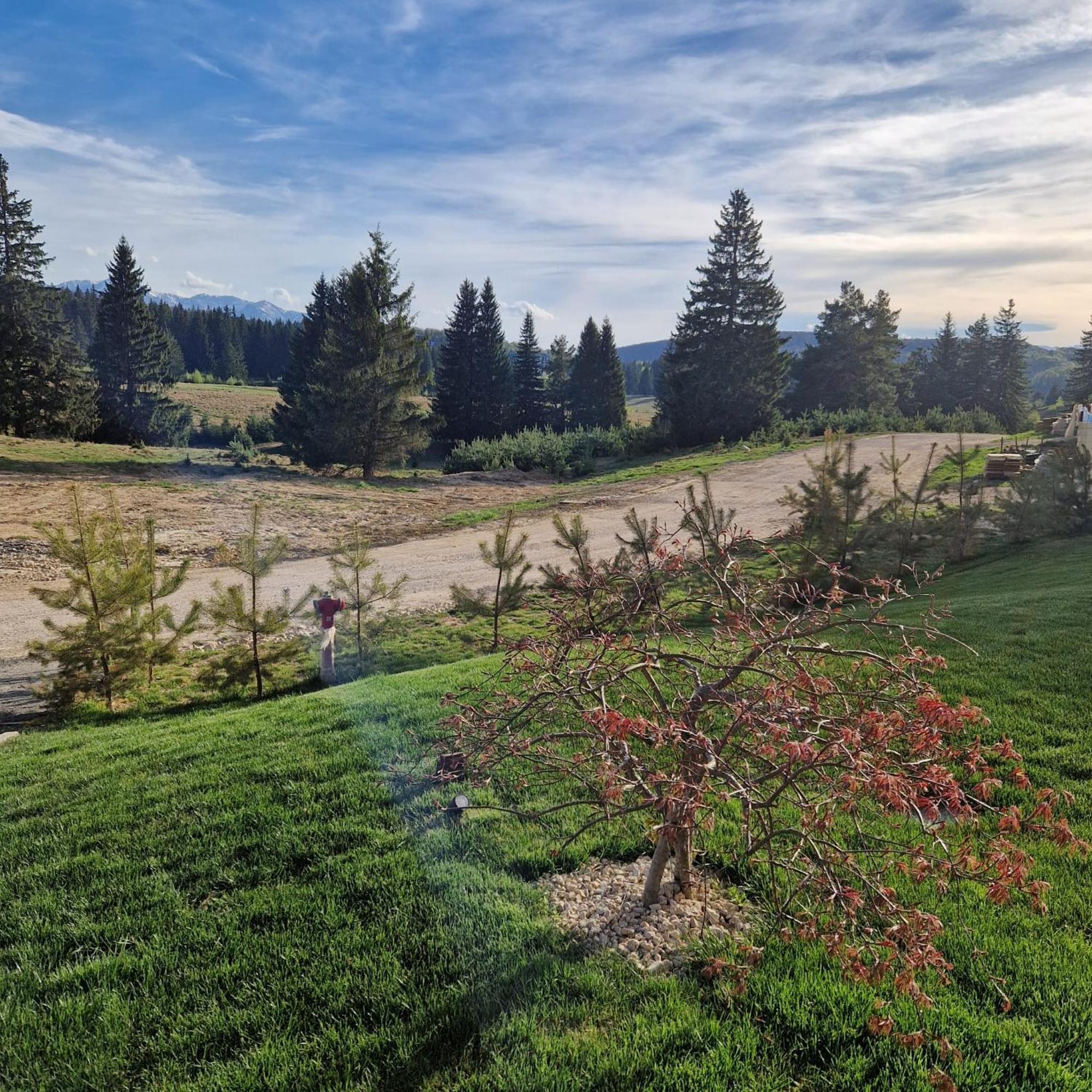 Albert Residence Aparthotel Grand Chalet With Free Spa Access To Alpin Resort Poiana Brașov Exterior foto