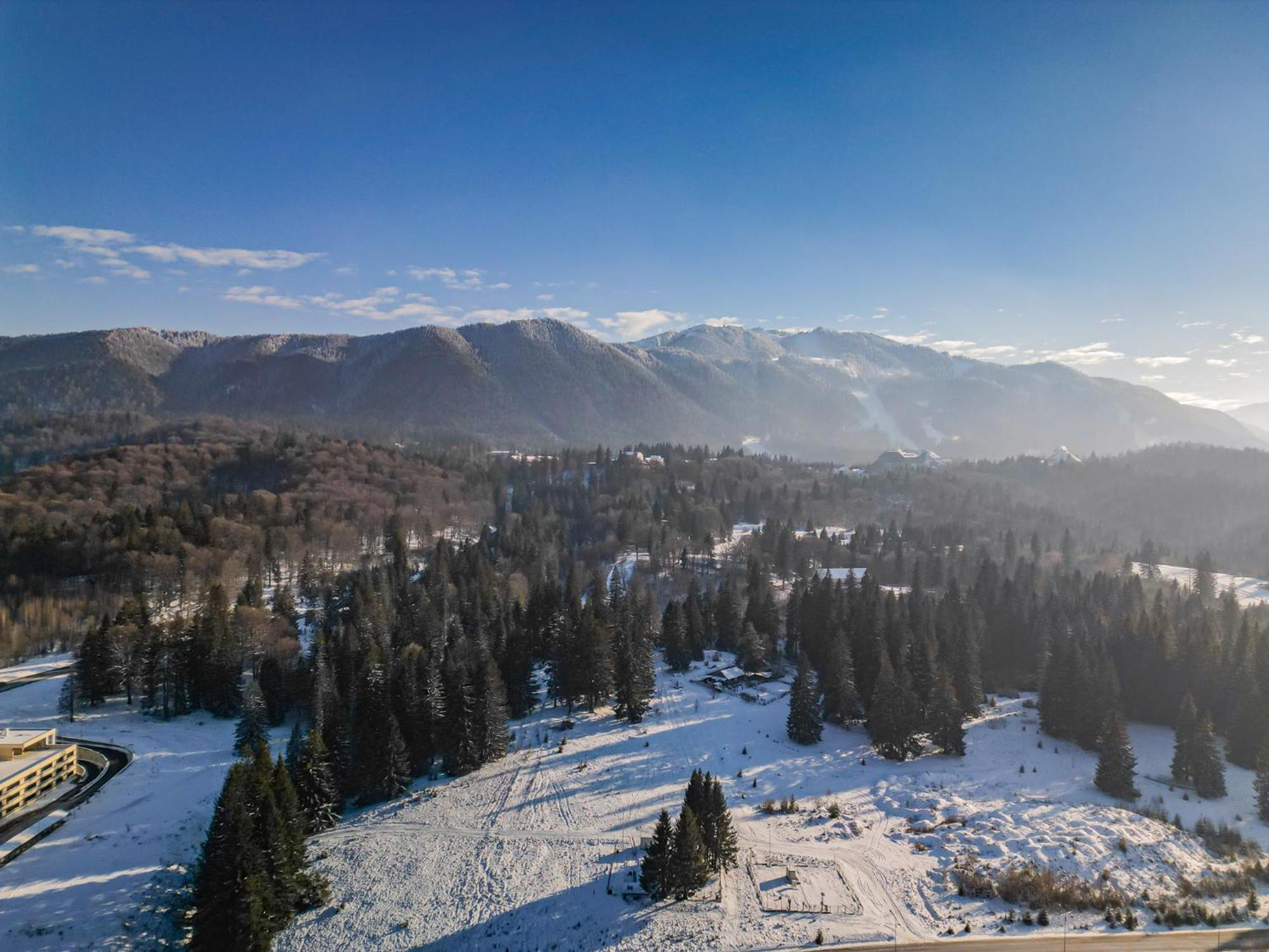 Albert Residence Aparthotel Grand Chalet With Free Spa Access To Alpin Resort Poiana Brașov Exterior foto